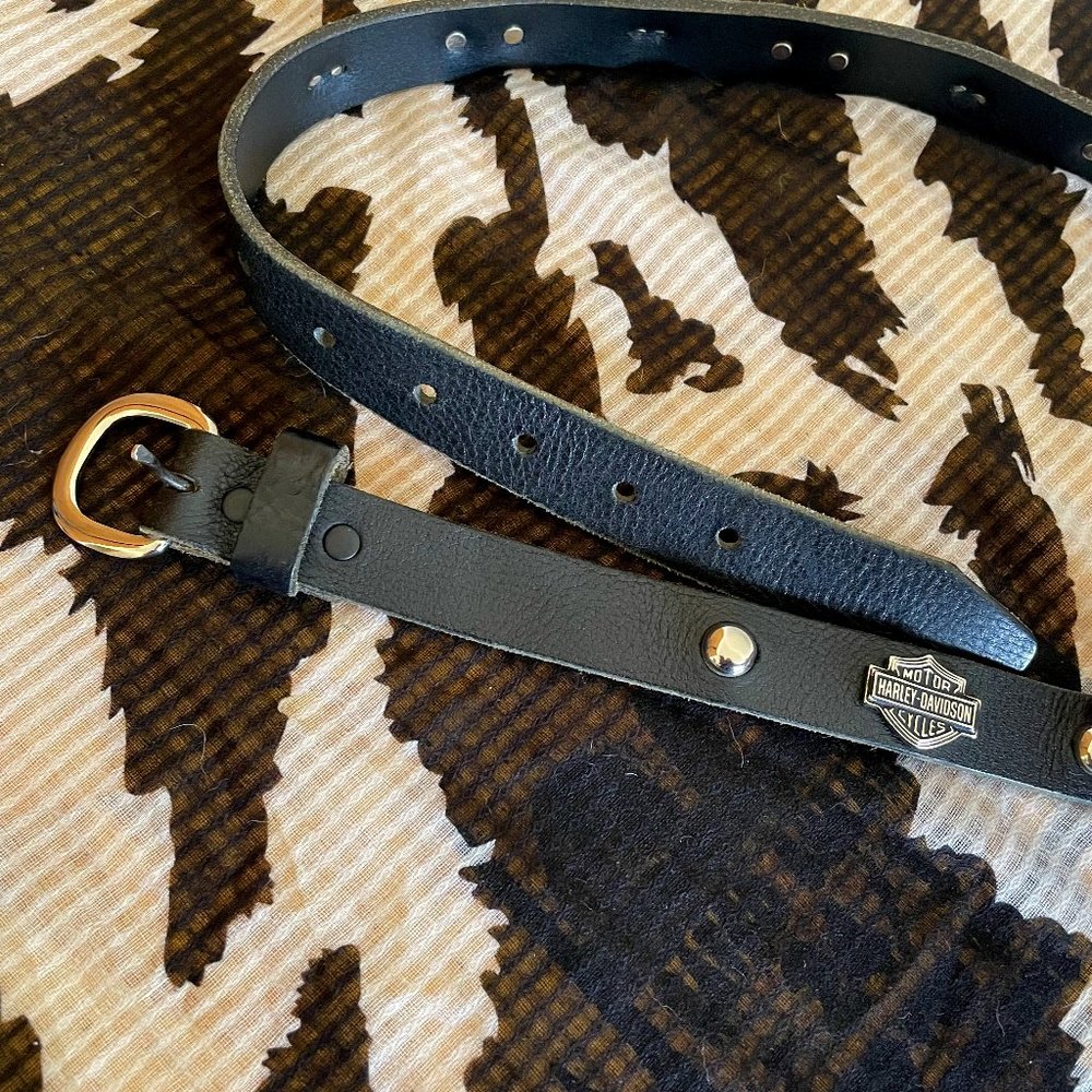 Harley Davidson Belt